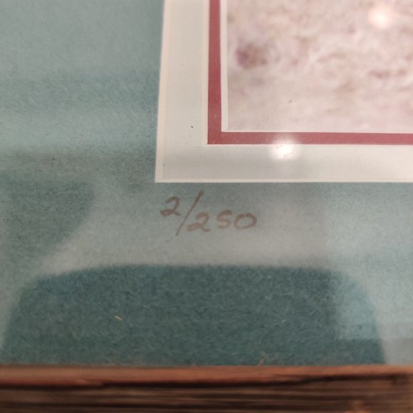 Hippopotamus Photography Lake Manyara National Park Tanzania Africa Lee-Margaret - Picture 4 of 15